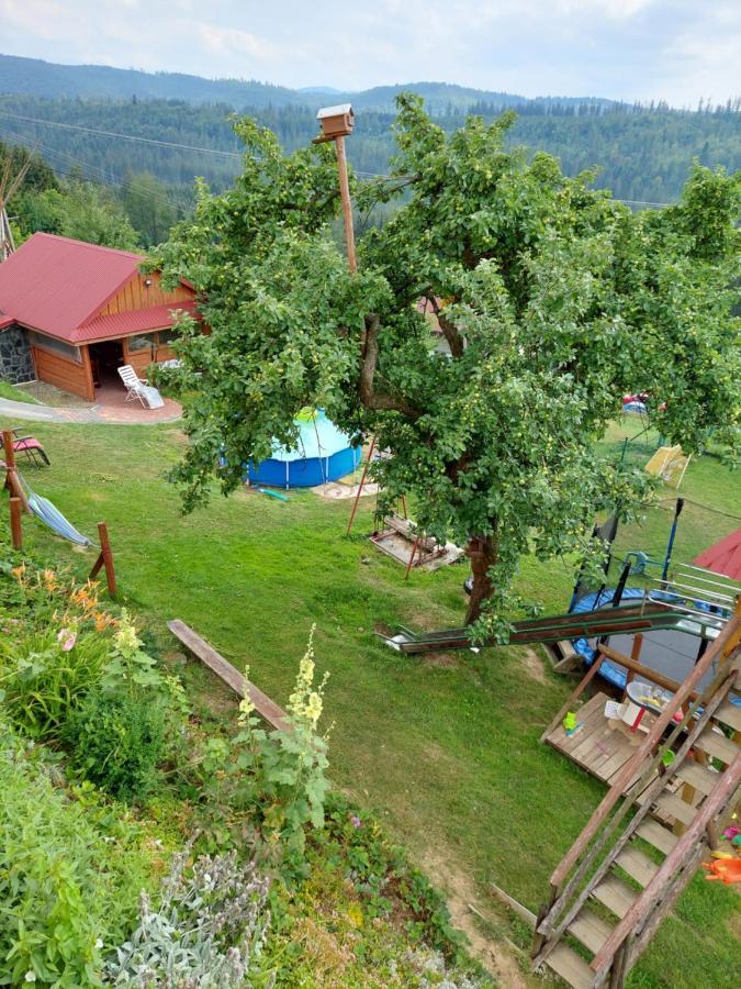 Domek Nad Lasem Koniaków Dış mekan fotoğraf