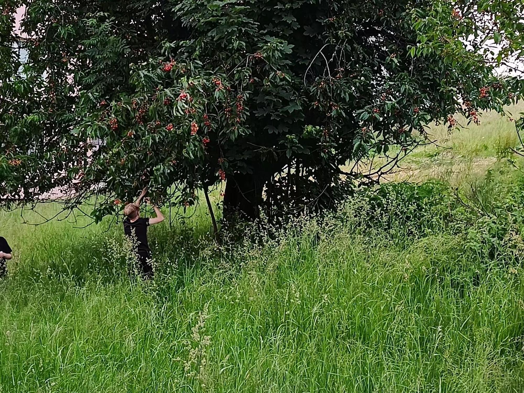 Domek Nad Lasem Koniaków Dış mekan fotoğraf
